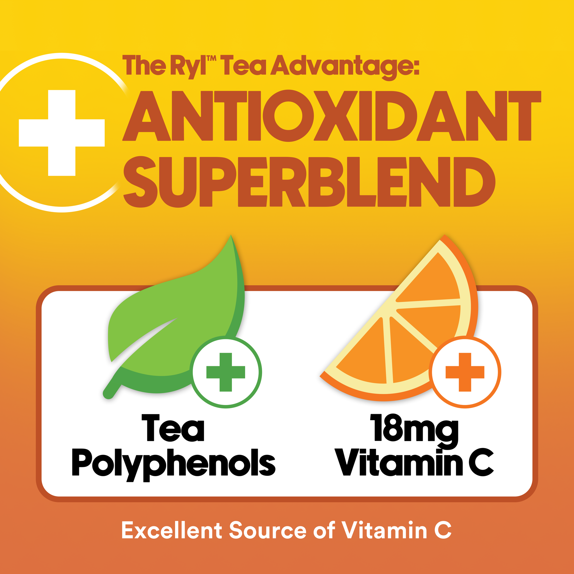 Half Iced Tea & Half Lemonade 12 Pack